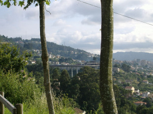 A Comunidade de Montes quere percibir un canon polos terreos para mellorar a xestión do monte